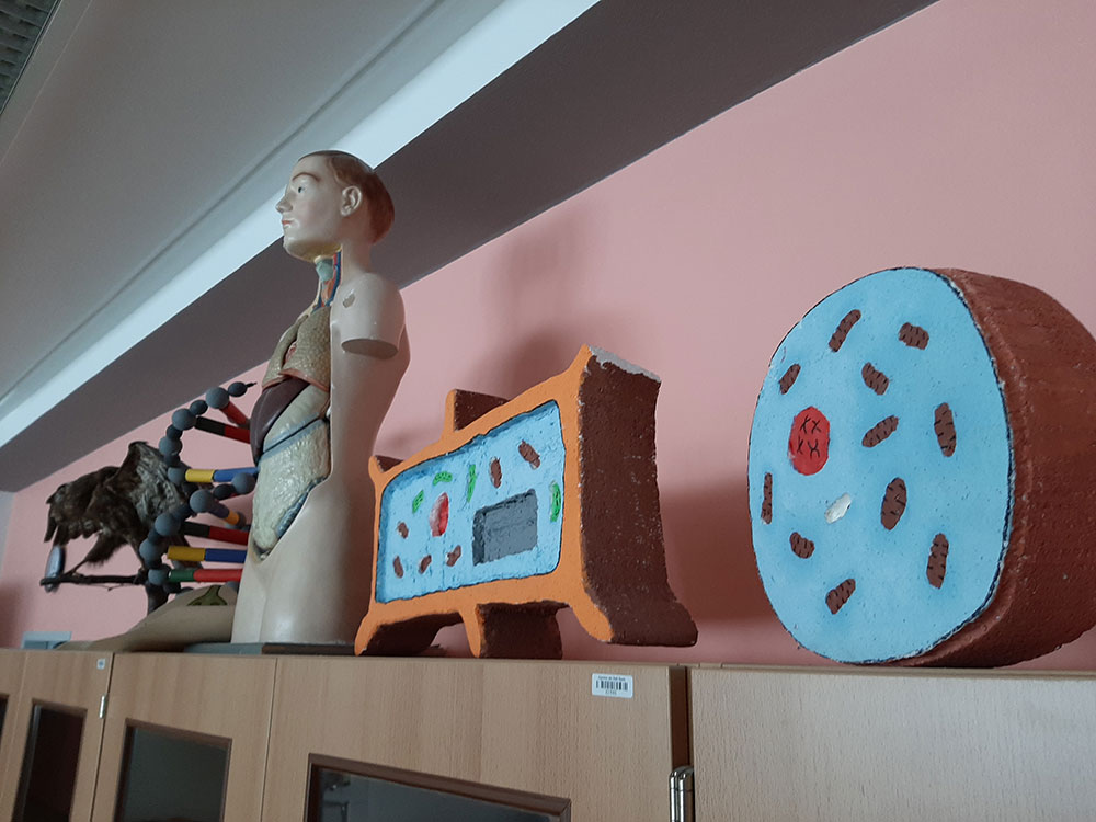 images/klassenzimmer/202101-Zimmer11-Biologie-1.jpg#joomlaImage://local-images/klassenzimmer/202101-Zimmer11-Biologie-1.jpg?width=1000&height=750